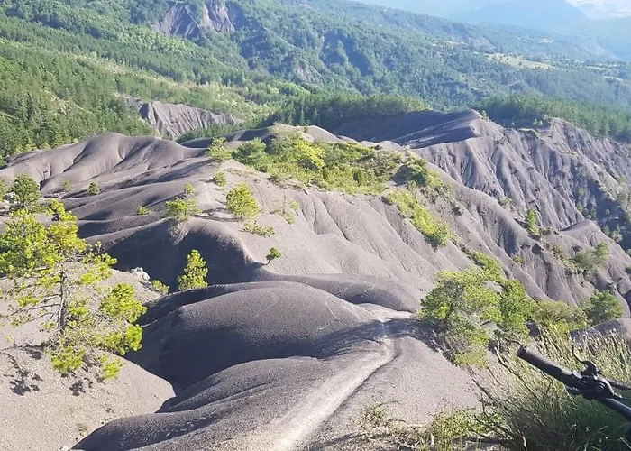 Calme Et Arbore, 34 *