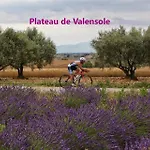 Calme Et Arbore, 34