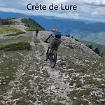 Lejlighed Calme Et Arbore, 34 *