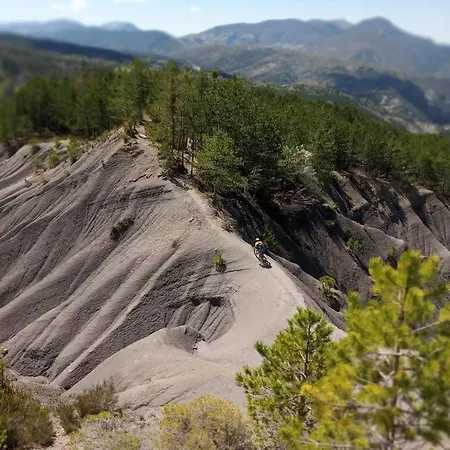 Calme Et Arbore, 34 Apartament