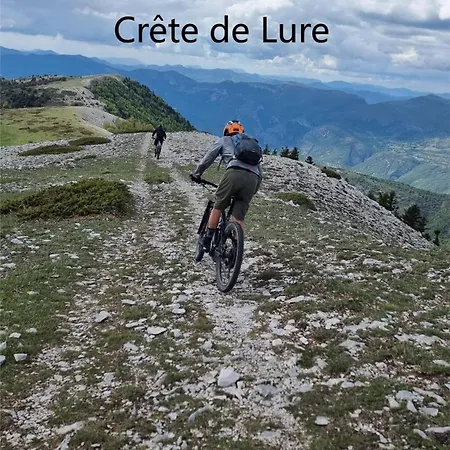 Apartament Calme Et Arbore, 34 *