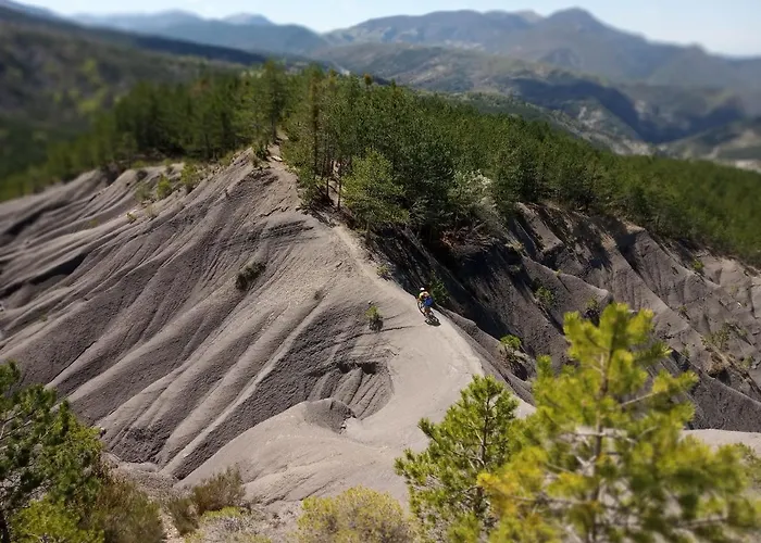 Calme Et Arbore, 34 Appartement