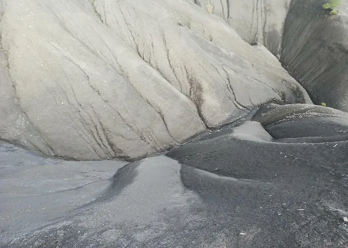 Appartement Calme Et Arbore, 34